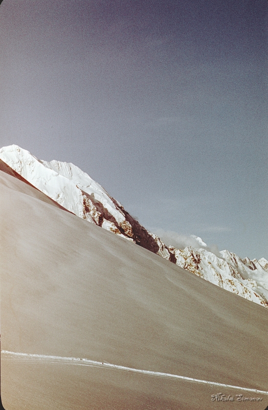 121.jpg -    -  . -
