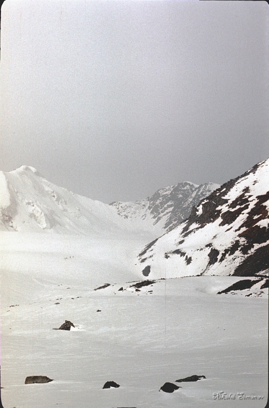 169.jpg -    ,     