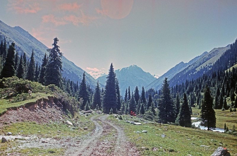 03-05.jpg -   