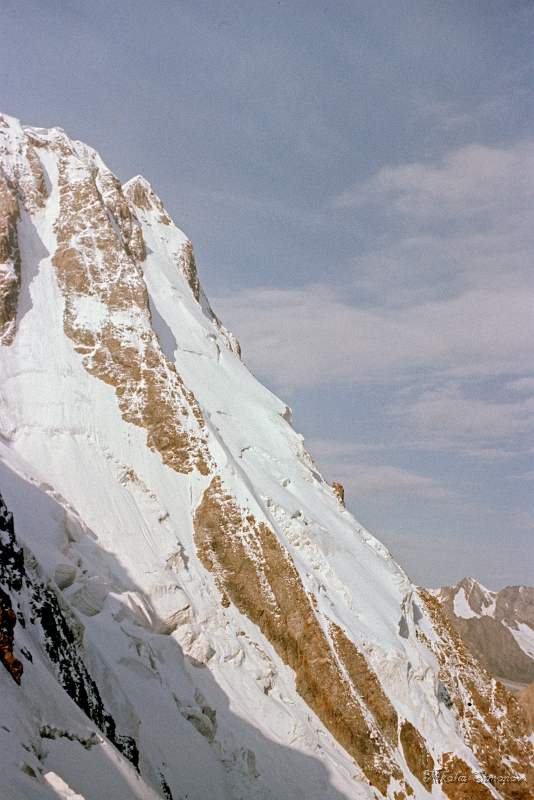 04-11.jpg -    .    