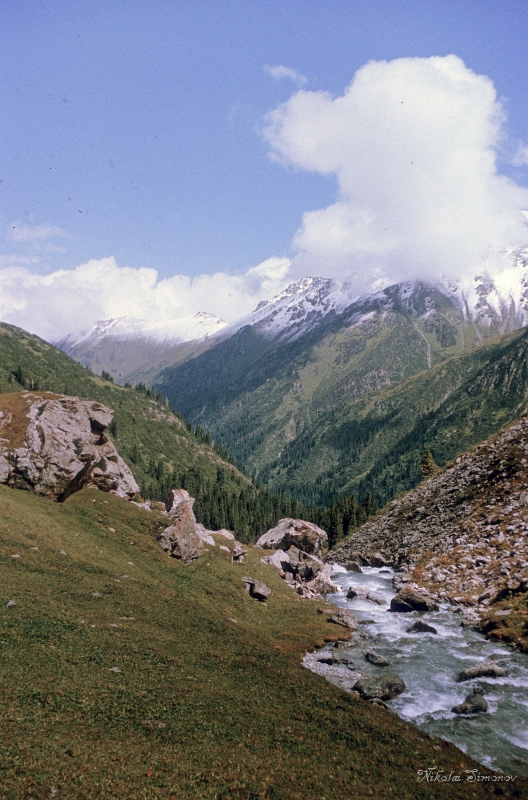 04-30.jpg -        -