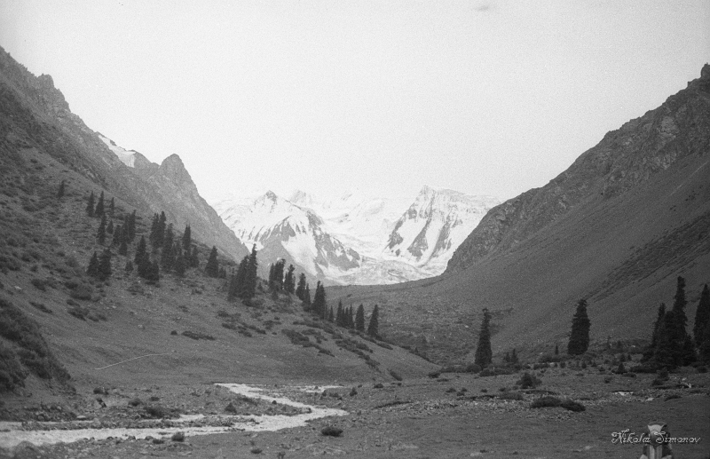01-06.jpg -   -,  