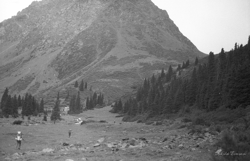 01-07.jpg -  -   