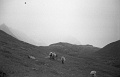 01-08