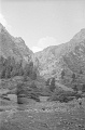 02-01