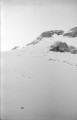 Click for large version