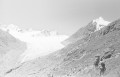 Click for large version