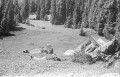 Previous image