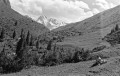 Previous image