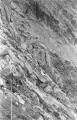 Next image