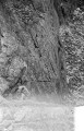 Click for large version
