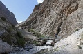 IMG_30095