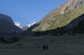 IMG_30152