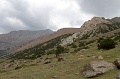 IMG_30212