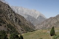 IMG_30524
