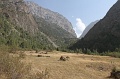 IMG_30535