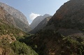 IMG_30545