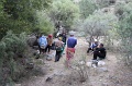 IMG_30559