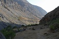IMG_30568