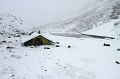 IMG_31048