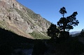 IMG_31276