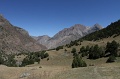 IMG_31284