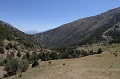 IMG_31351