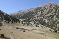 IMG_31356