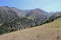 IMG_31361