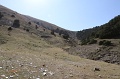IMG_31368