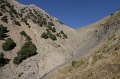 IMG_31385