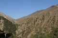 IMG_31390