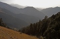 IMG_31392