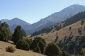 IMG_31406