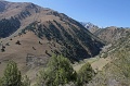 IMG_31412