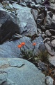 03-16